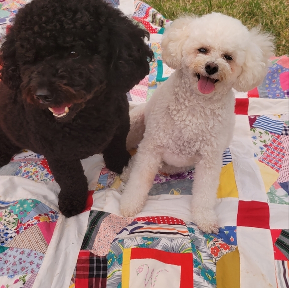 Meet your Posher, Kristi - Picture 5 of 7